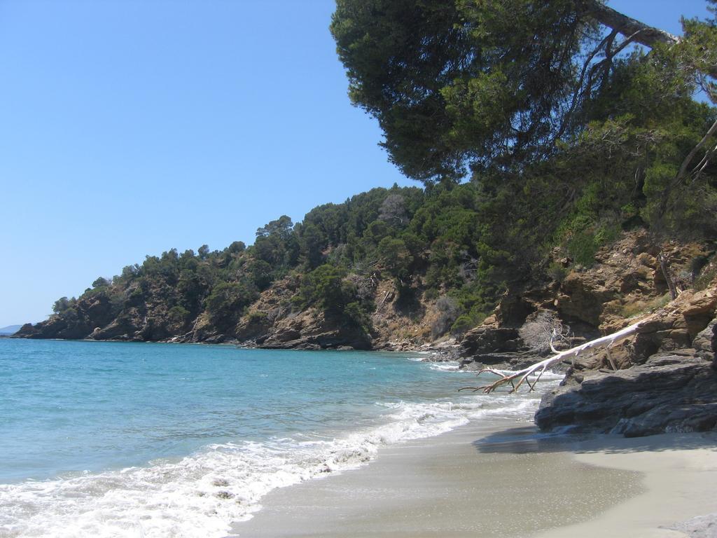 Domaine Du Mas De Peyres Lejlighed Cavalaire-sur-Mer Eksteriør billede